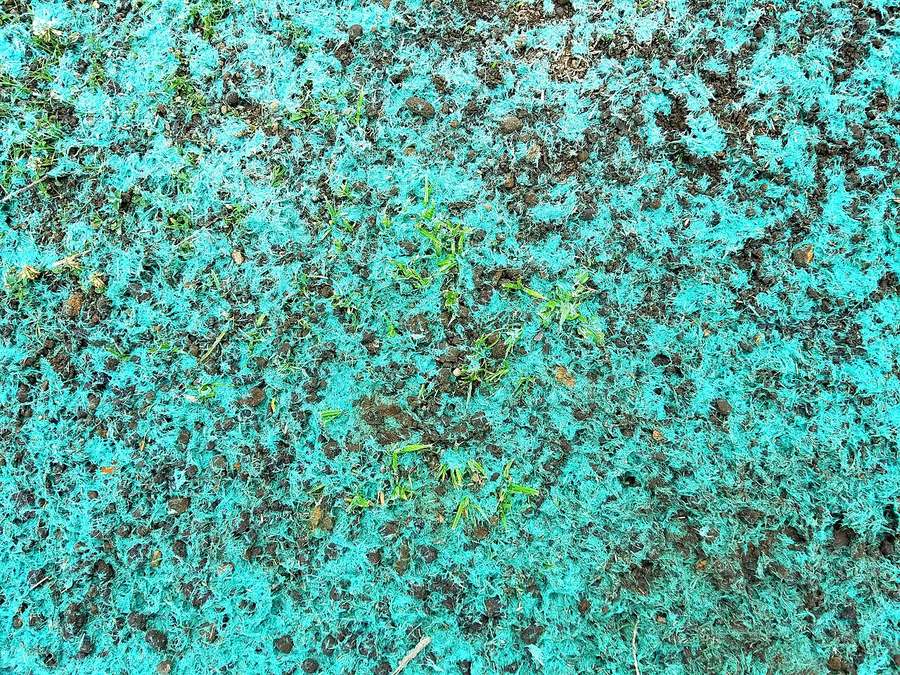 Example close-up of freshly sprayed hydroseed mulch with new grass sprouting